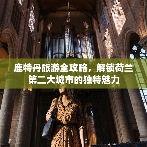 鹿特丹旅游指南，解锁荷兰第二大城的独特魅力