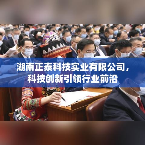 湖南正泰科技实业，科技创新引领行业新篇章