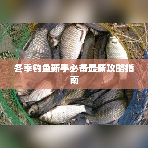 冬季钓鱼新手必备最新攻略指南