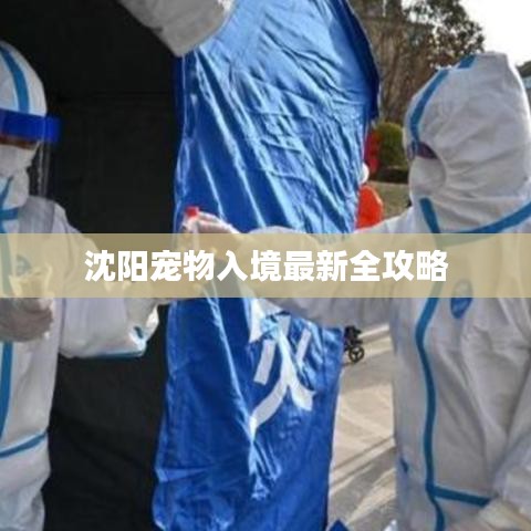 沈阳宠物入境最新全攻略