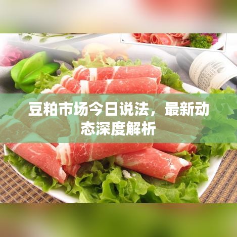 豆粕市场今日说法，最新动态深度解析