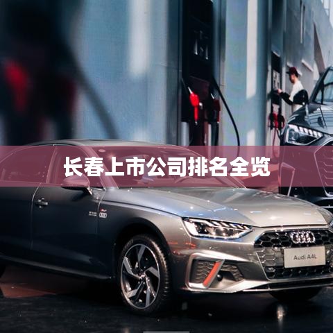 长春上市公司排名全览