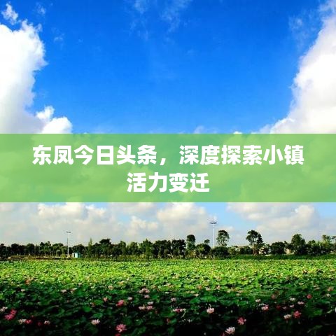 东凤今日头条，深度探索小镇活力变迁