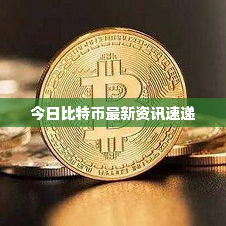 今日比特币最新资讯速递