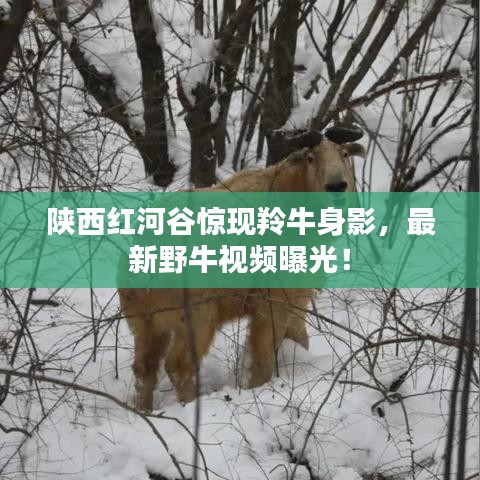 第1382页