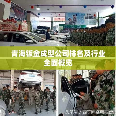 青海钣金成型公司排名及行业全面概览