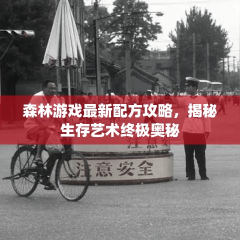 森林游戏最新配方攻略，揭秘生存艺术终极奥秘