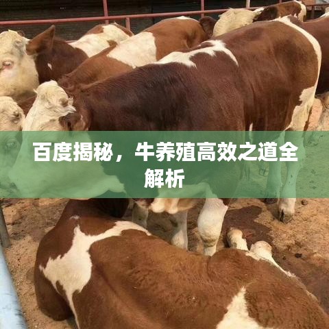 第1348页