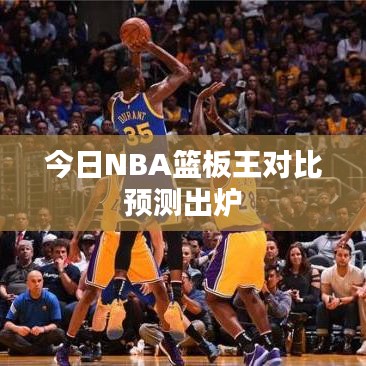 今日NBA篮板王对比预测出炉
