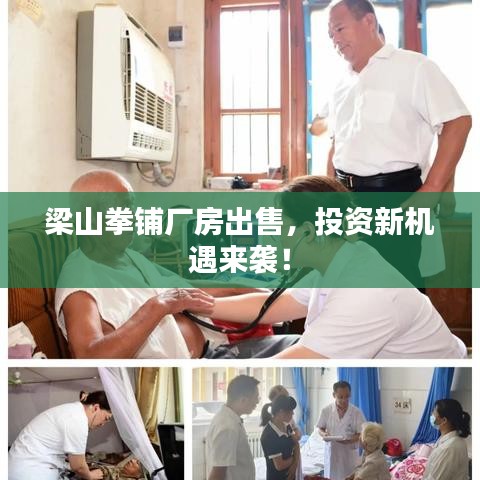 梁山拳铺厂房出售，投资新机遇来袭！