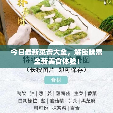 今日最新菜谱大全，解锁味蕾全新美食体验！