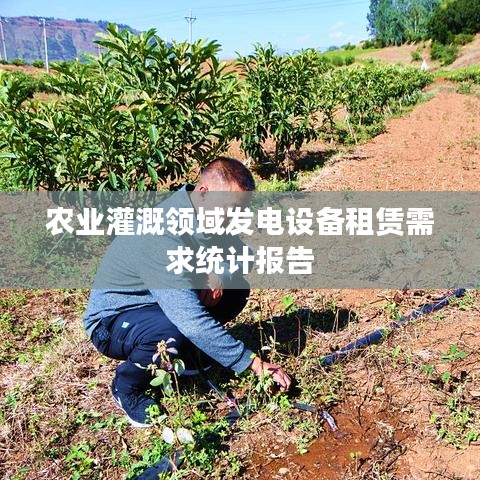 农业灌溉发电设备租赁需求分析报告