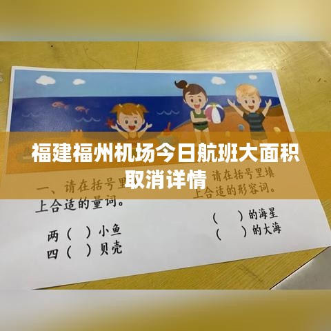 福建福州机场今日航班大面积取消详情