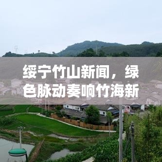 绥宁竹山新闻，绿色脉动奏响竹海新篇章