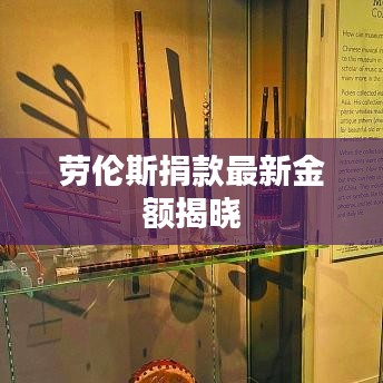 望其项背 第3页
