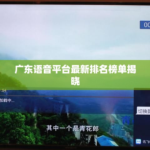 广东语音平台最新排名榜单揭晓