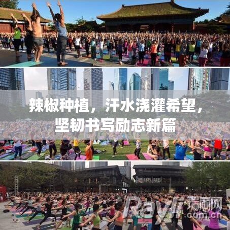 新闻中心 第2237页