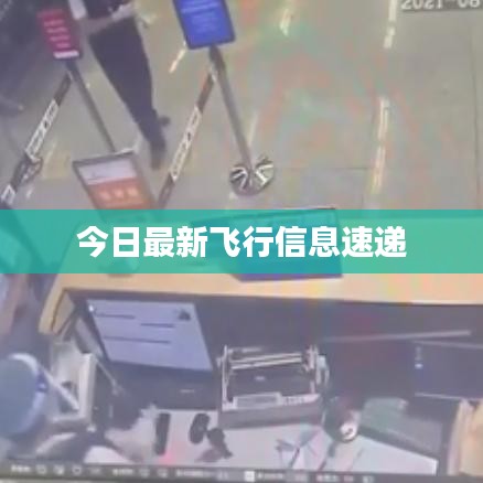 今日最新飞行信息速递