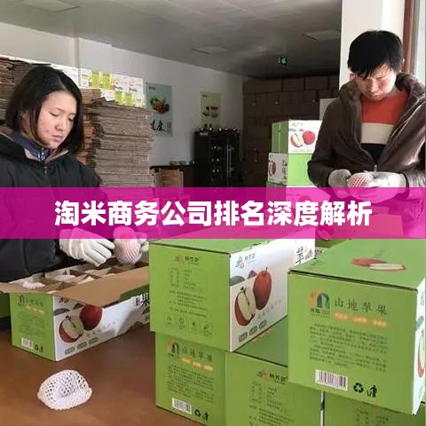 淘米商务公司排名深度解析