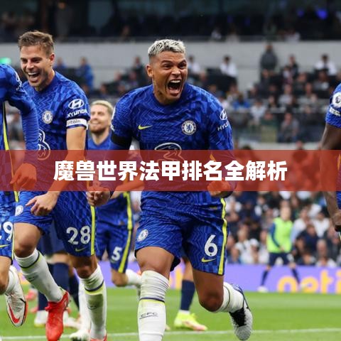魔兽世界法甲排名全解析