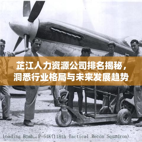 芷江人力资源公司排名揭秘，洞悉行业格局与未来发展趋势