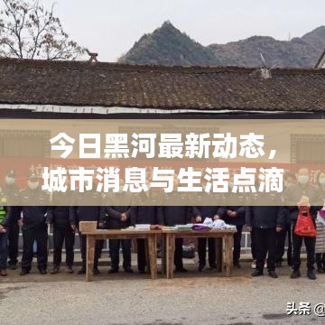 今日黑河最新动态，城市消息与生活点滴更新