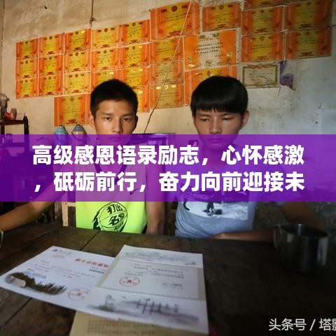 高级感恩语录励志，心怀感激，砥砺前行，奋力向前迎接未来挑战