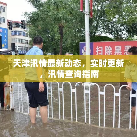 天津汛情最新动态，实时更新，汛情查询指南