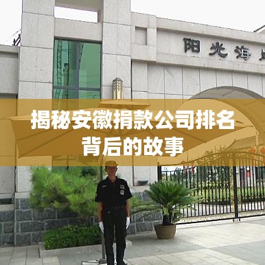 揭秘安徽捐款公司排名背后的故事