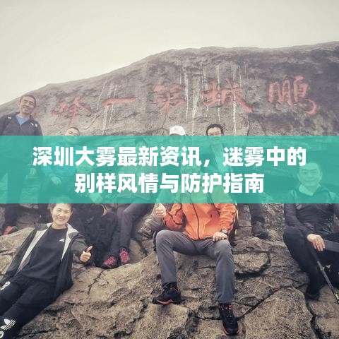深圳大雾最新资讯，迷雾中的别样风情与防护指南
