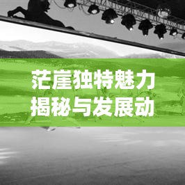 茫崖独特魅力揭秘与发展动态新闻头条