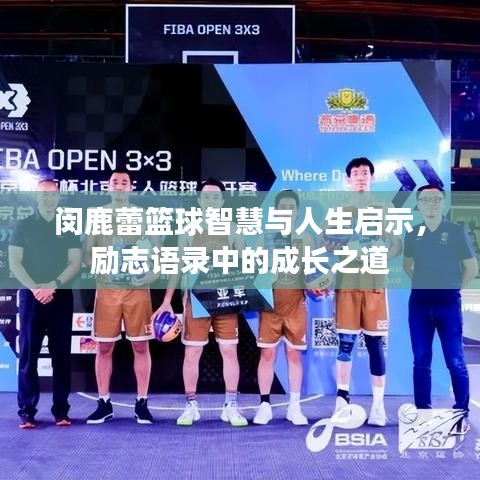 闵鹿蕾篮球智慧与人生启示，励志语录中的成长之道