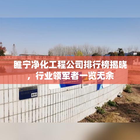 睢宁净化工程公司排行榜揭晓，行业领军者一览无余