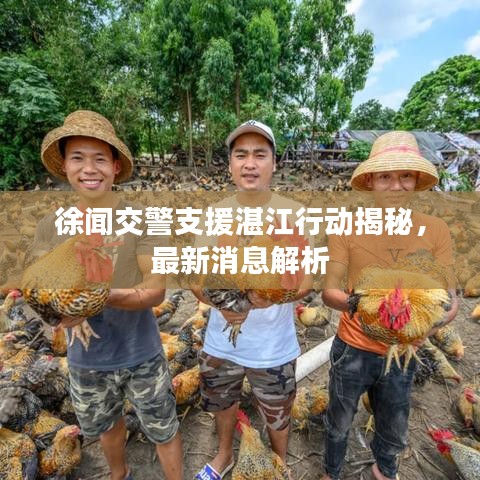 徐闻交警支援湛江行动揭秘，最新消息解析