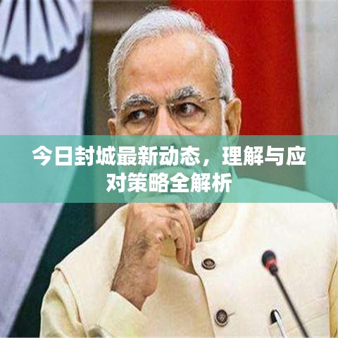 今日封城最新动态，理解与应对策略全解析