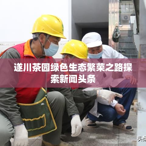 遂川茶园绿色生态繁荣之路探索新闻头条
