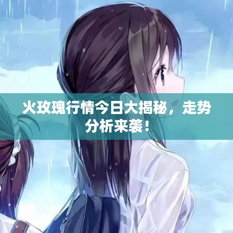 火玫瑰行情今日大揭秘，走势分析来袭！