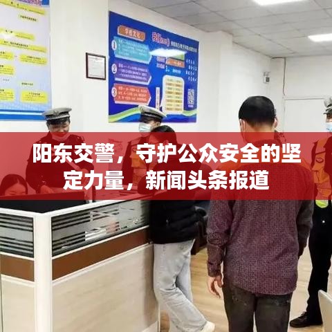 阳东交警，守护公众安全的坚定力量，新闻头条报道
