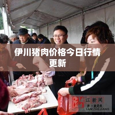 伊川猪肉价格今日行情更新