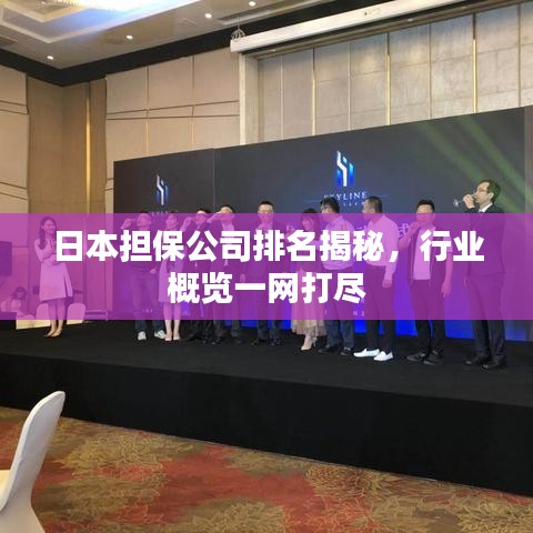 日本担保公司排名揭秘，行业概览一网打尽