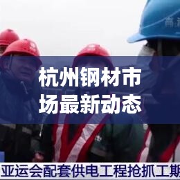 杭州钢材市场最新动态，今日走势分析、行业洞察揭秘