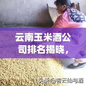 云南玉米酒公司排名揭晓，探寻酿酒业巅峰新高度！