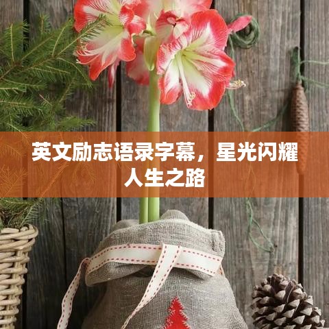 英文励志语录字幕，星光闪耀人生之路
