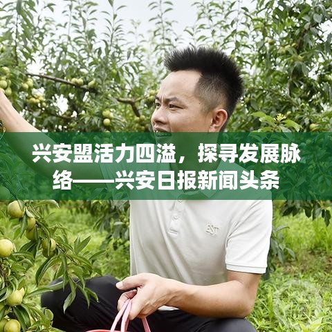 兴安盟活力四溢，探寻发展脉络——兴安日报新闻头条