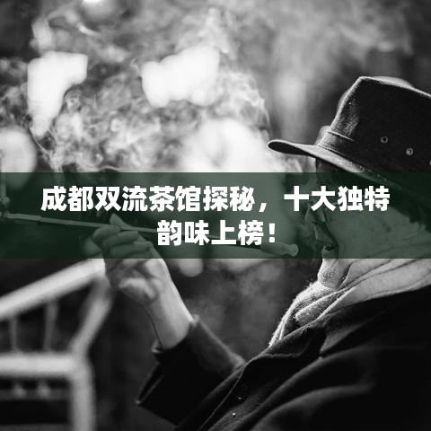 成都双流茶馆探秘，十大独特韵味上榜！