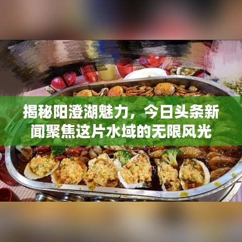 揭秘阳澄湖魅力，今日头条新闻聚焦这片水域的无限风光