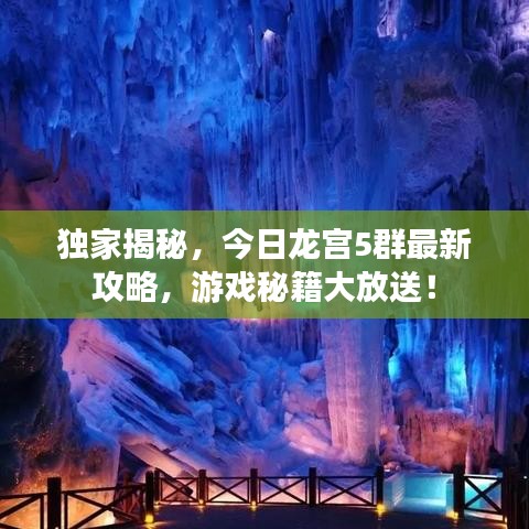 独家揭秘，今日龙宫5群最新攻略，游戏秘籍大放送！