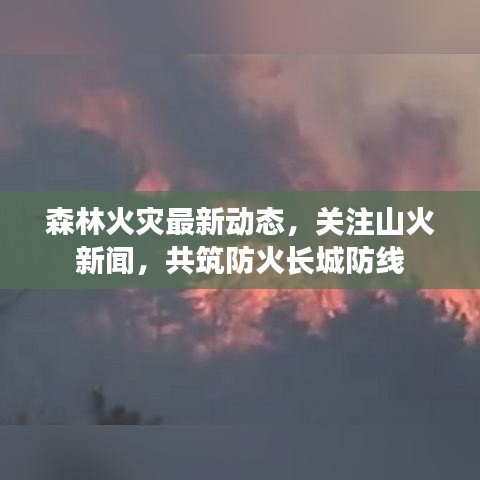 森林火灾最新动态，关注山火新闻，共筑防火长城防线