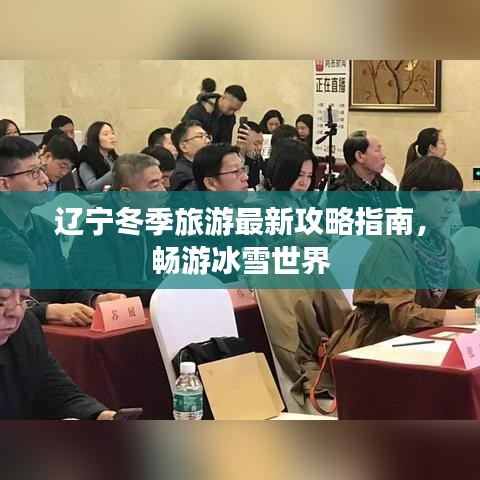 辽宁冬季旅游最新攻略指南，畅游冰雪世界