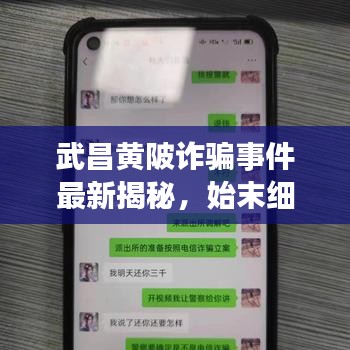 武昌黄陂诈骗事件最新揭秘，始末细节曝光